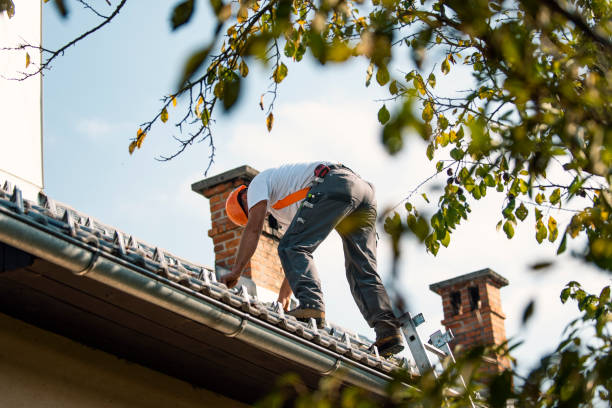 Best Roof Gutter Cleaning  in Chattahoochee, FL